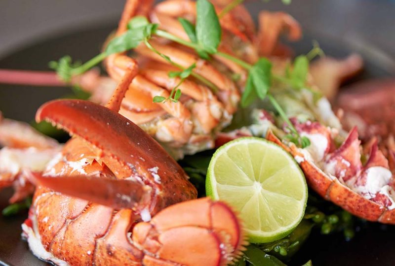 Heerlijke kreeft eten | Het Oude Veerhuis Ammerzoden