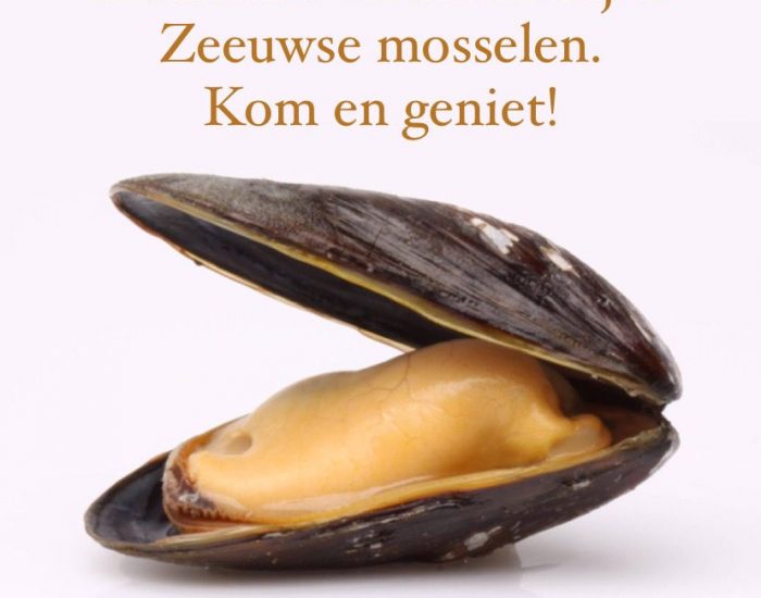 mosselmailing mosselmailing
